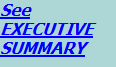Executive Summary
